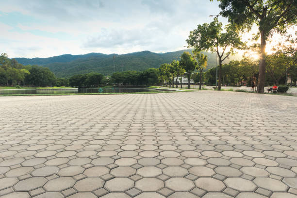 Best Best Driveway Pavers  in Hodgenville, KY