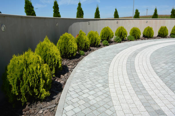 Best Local Driveway Pavers  in Hodgenville, KY
